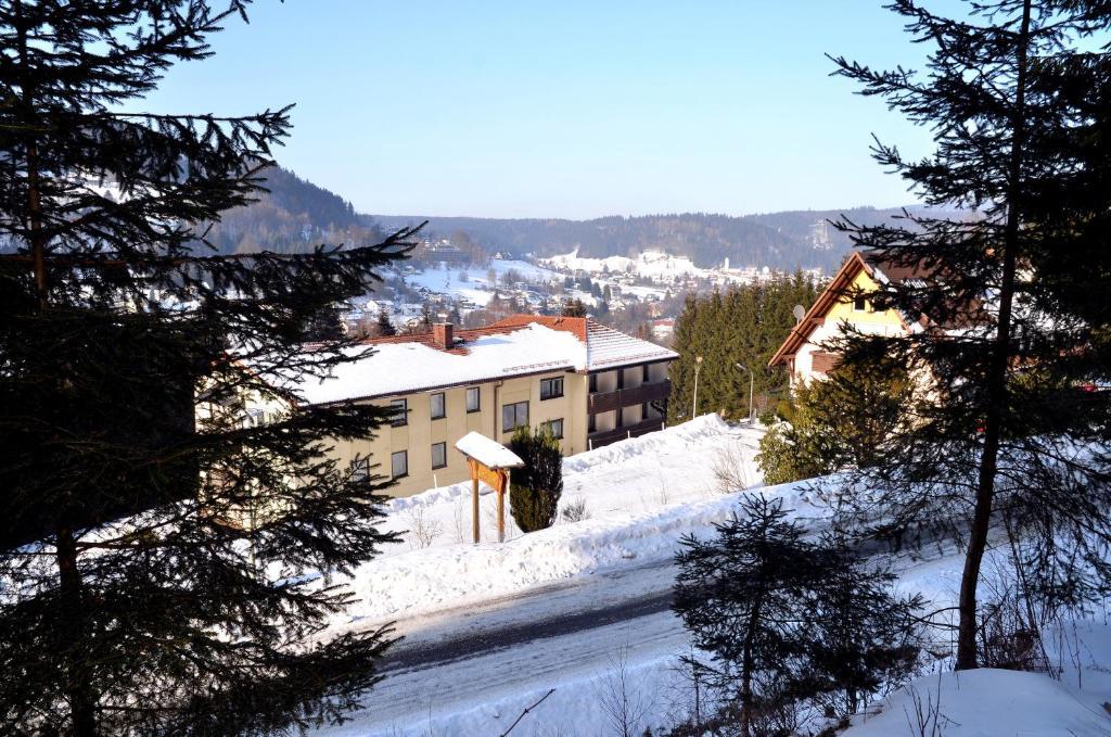 فأرمينشتآينآخ Hotel Pension Waldbaude المظهر الخارجي الصورة